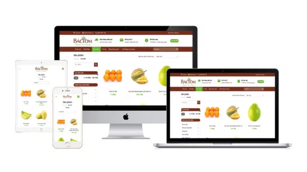 wpseo-theme-wordpress-cua-hang-thuc-pham-healthy